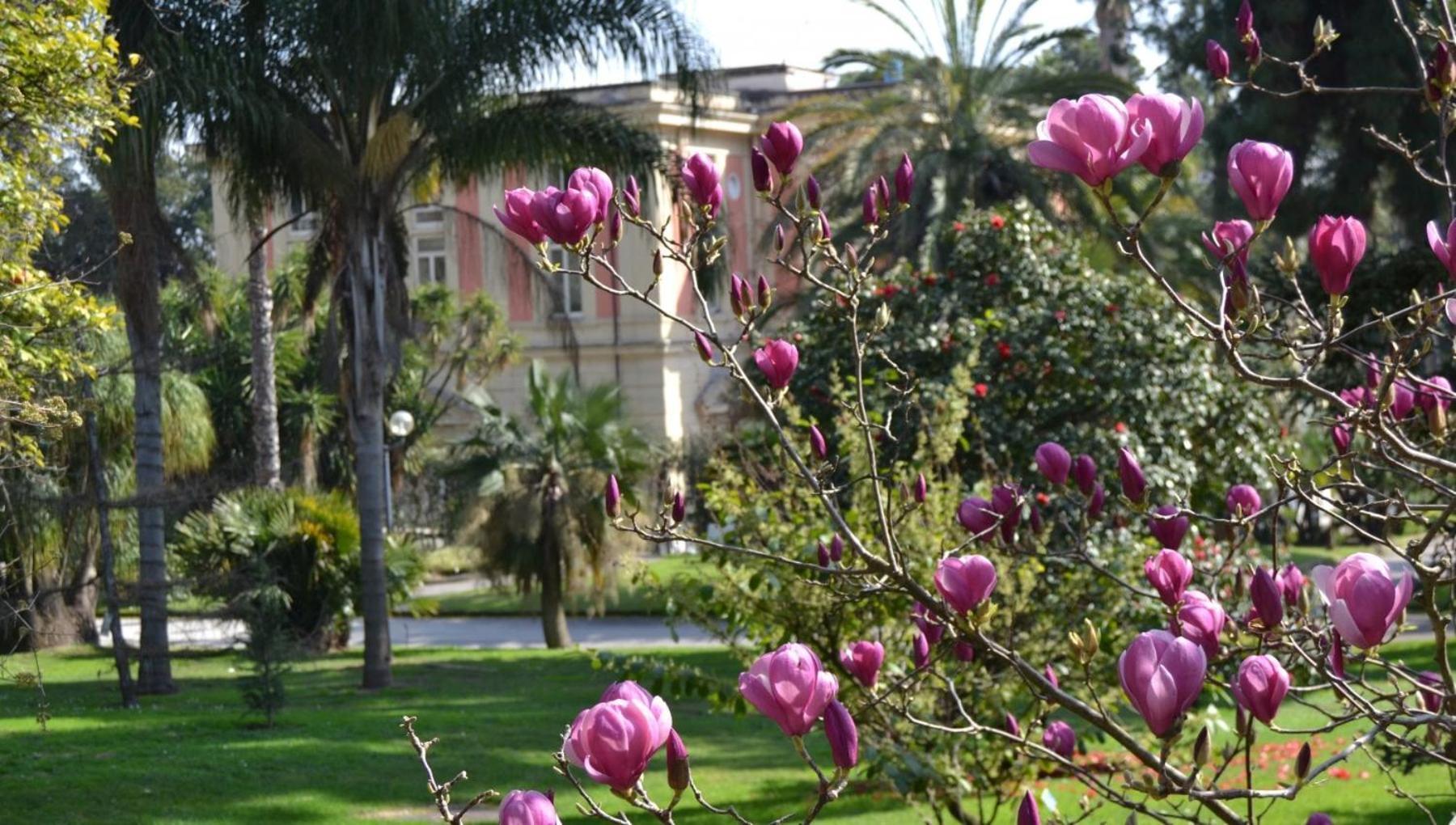 那不勒斯Casina Via Foria住宿加早餐旅馆 外观 照片